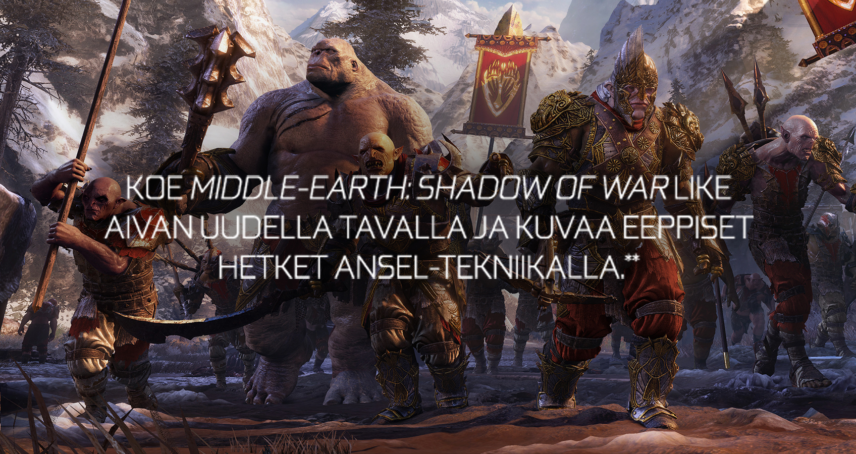 Nvivia_WB