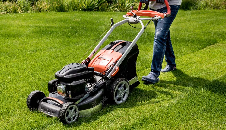 Most popular lawnmowers